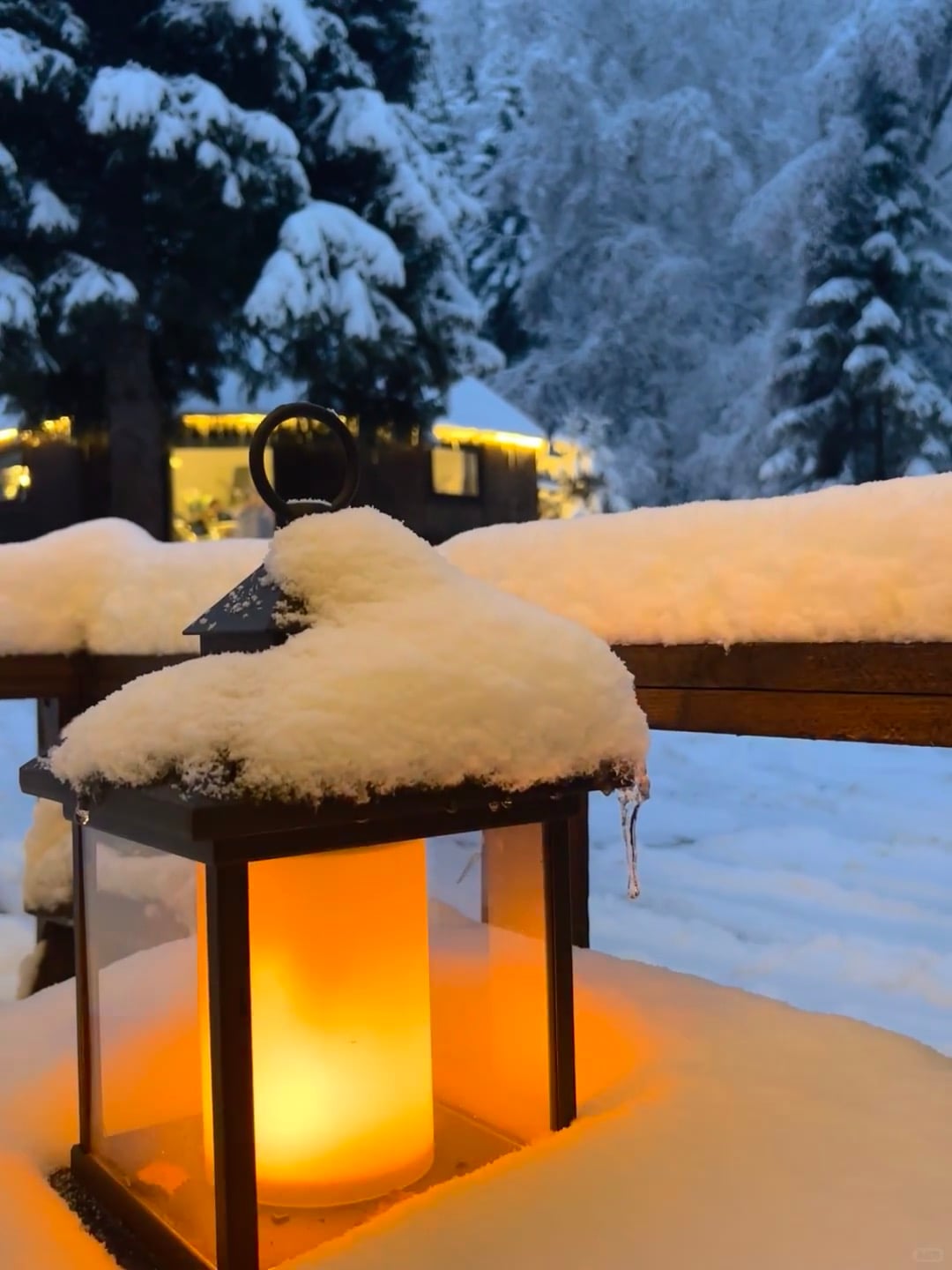 雪夜小灯，像把整个冬天的暖意都揣进怀里了