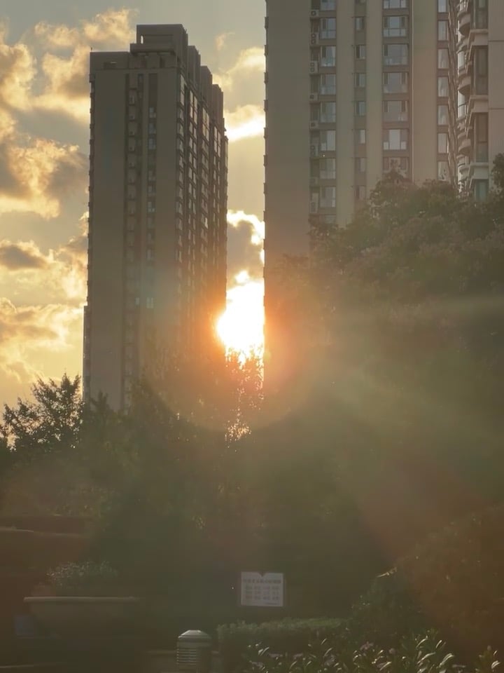 下班路上被这道光钉住了…太阳在楼缝里打了个结