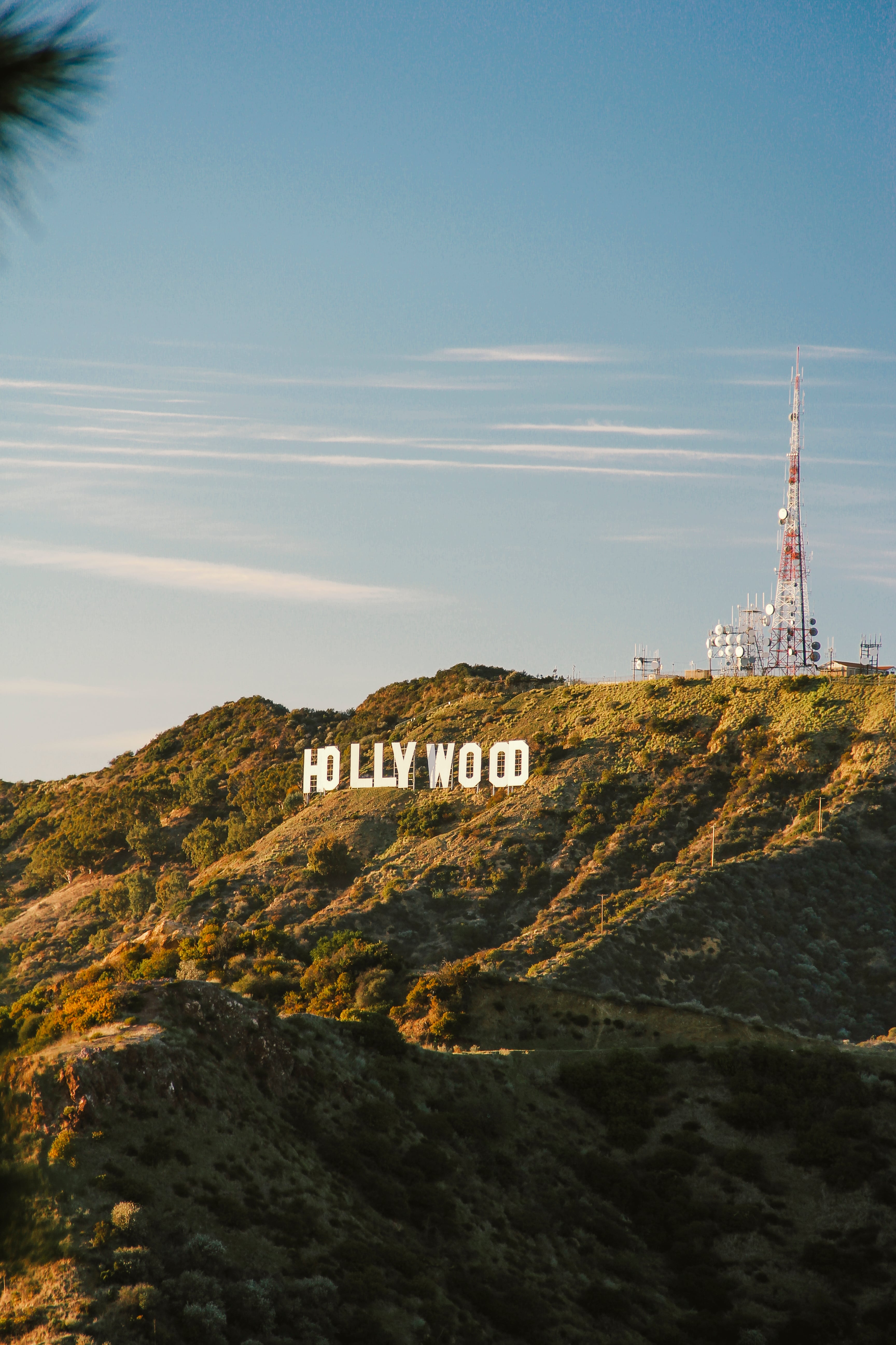 傍晚的Hollywood山丘，风里都是老电影的味道 🎬