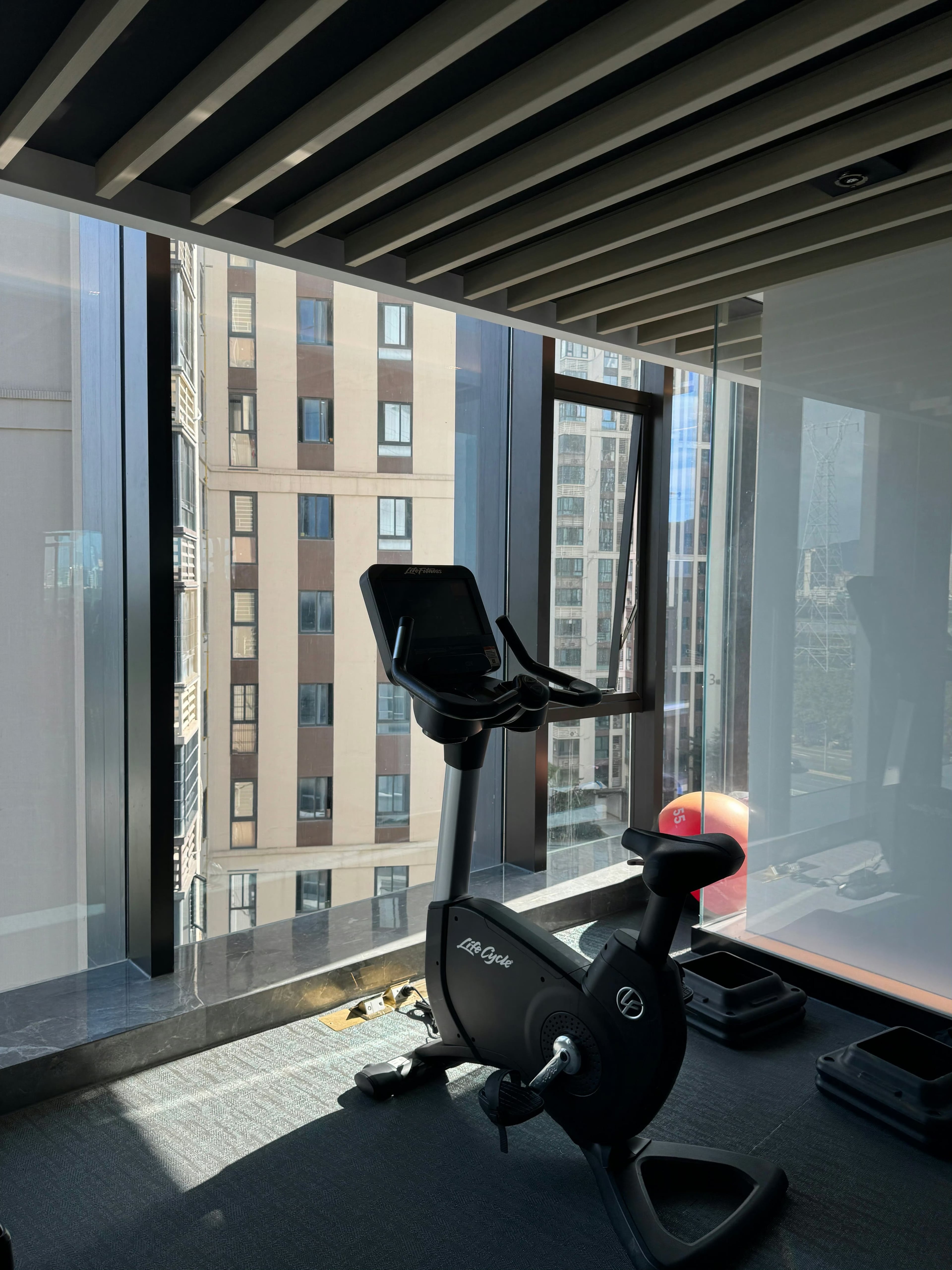 搬来后楼下gym的单车，对着窗外蹬了两圈