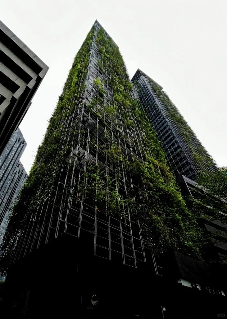 【LeNouvel KLCC】这栋公寓，把花园“种”在身上