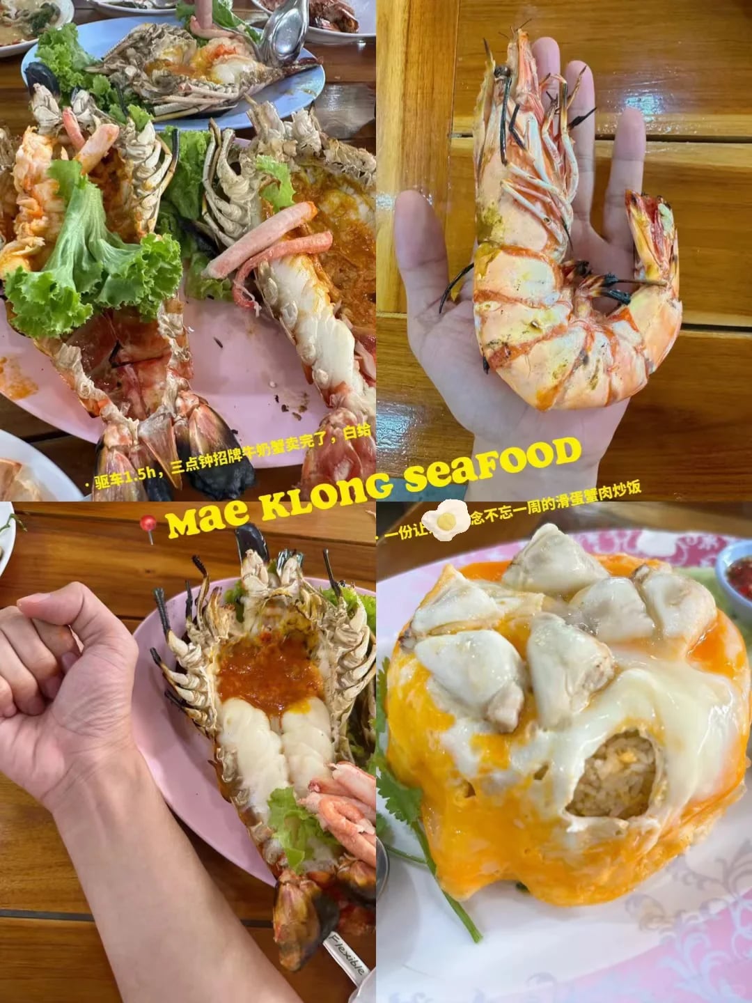 来了四年泰国，我的美食米其林黑红榜，不费💰