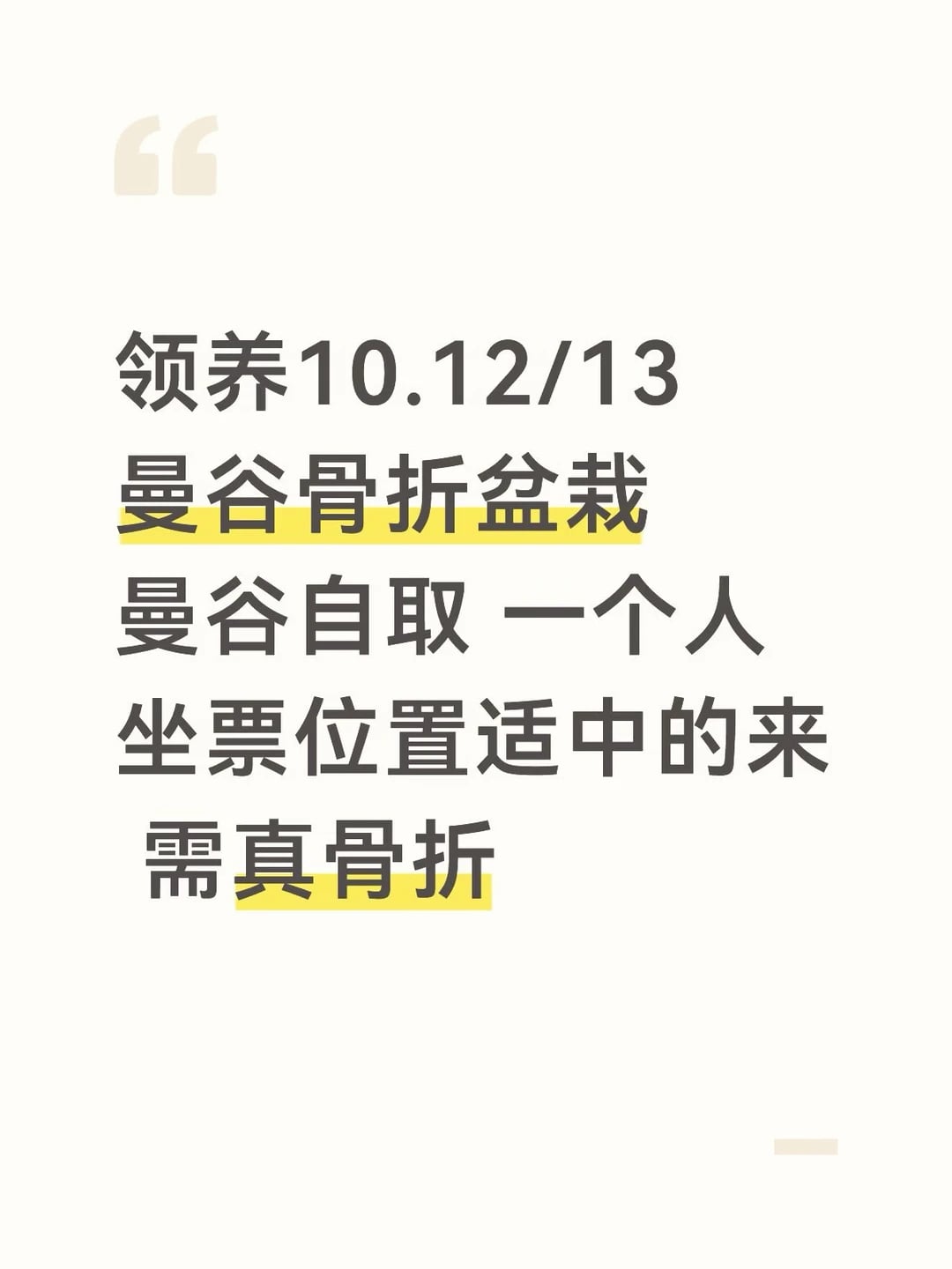 收13曼谷骨折盆栽