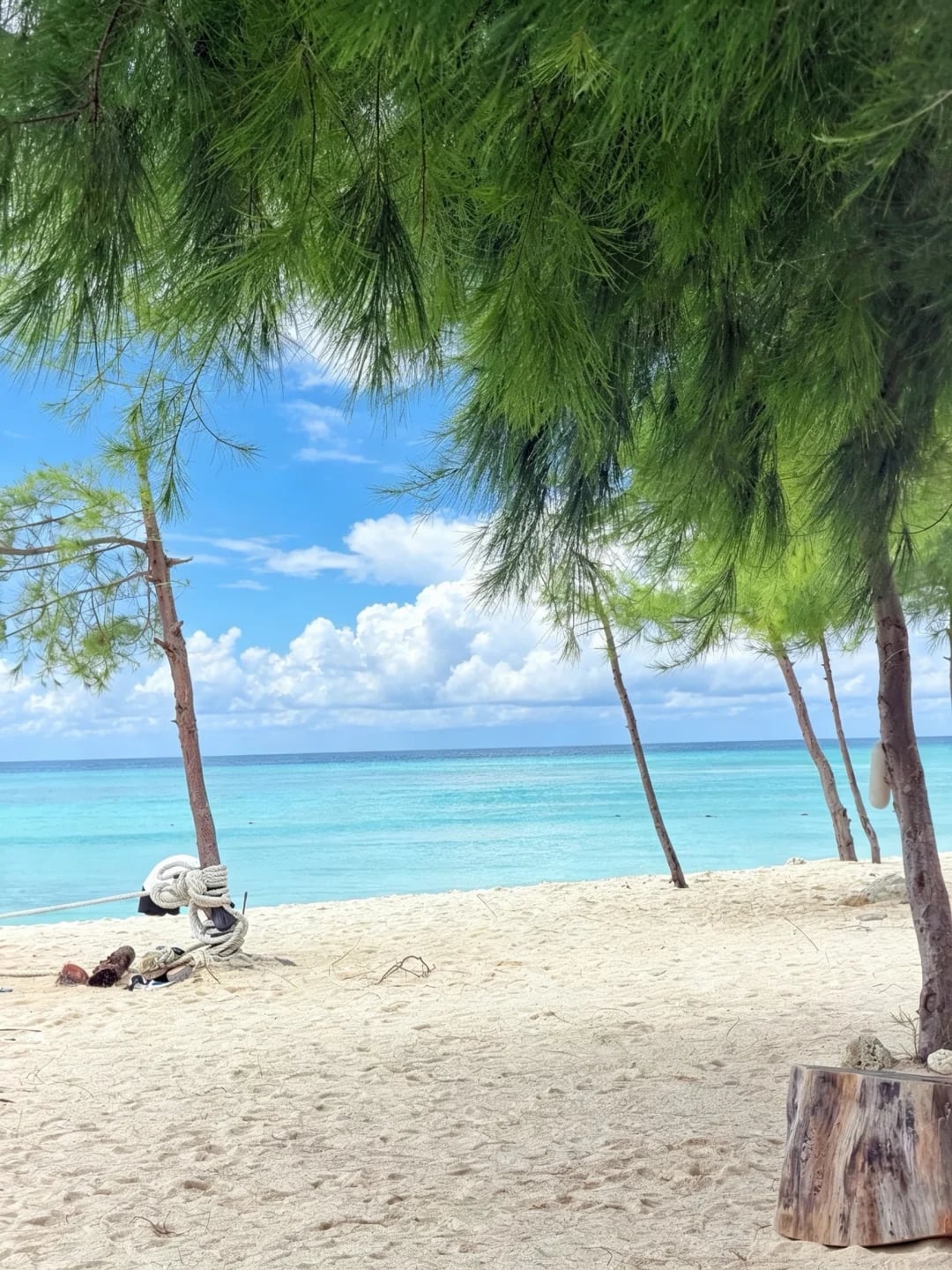当岛民的一天🏝️