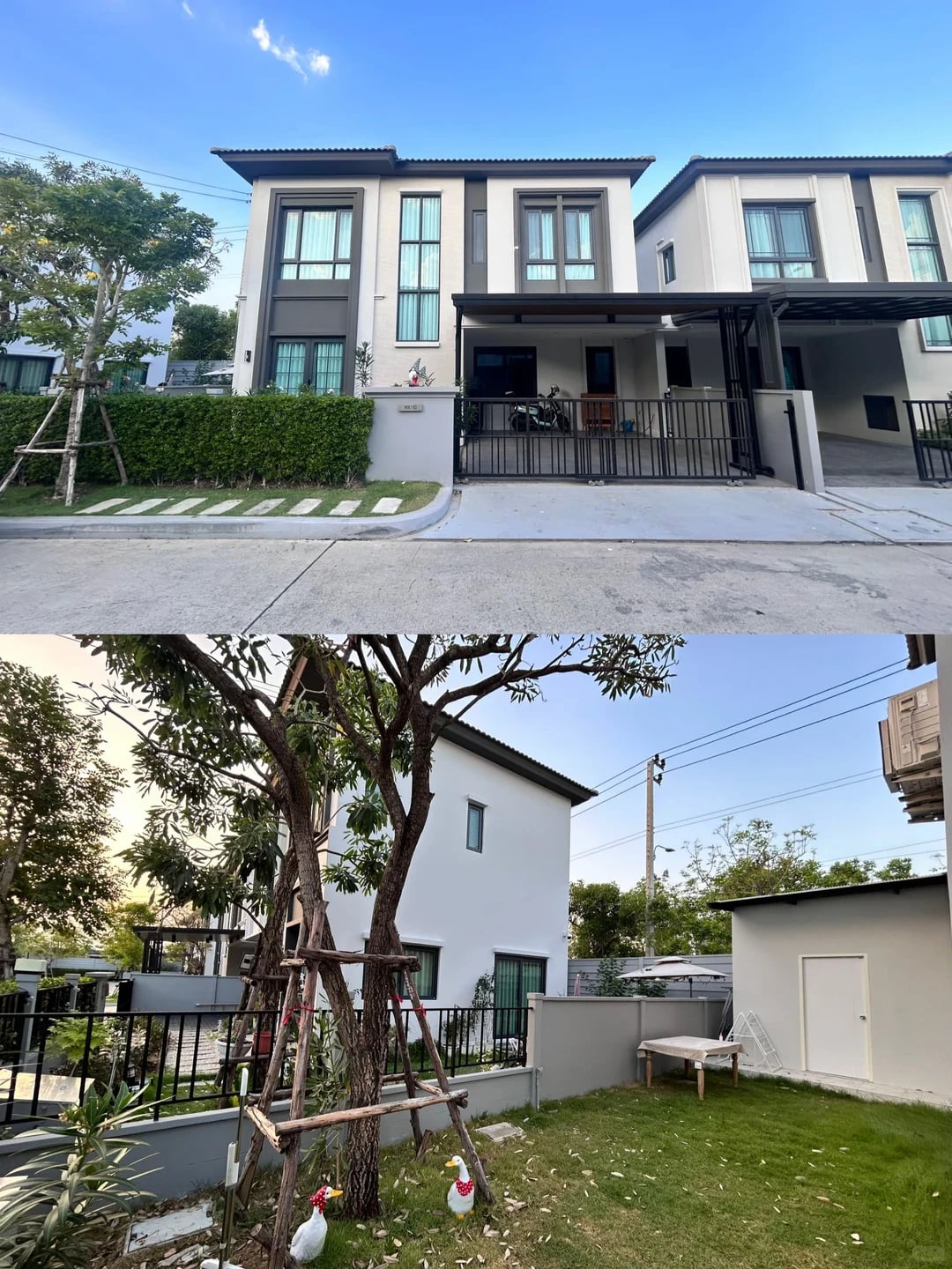 曼谷Mega Bangna区 宠物友好别墅租赁报告
