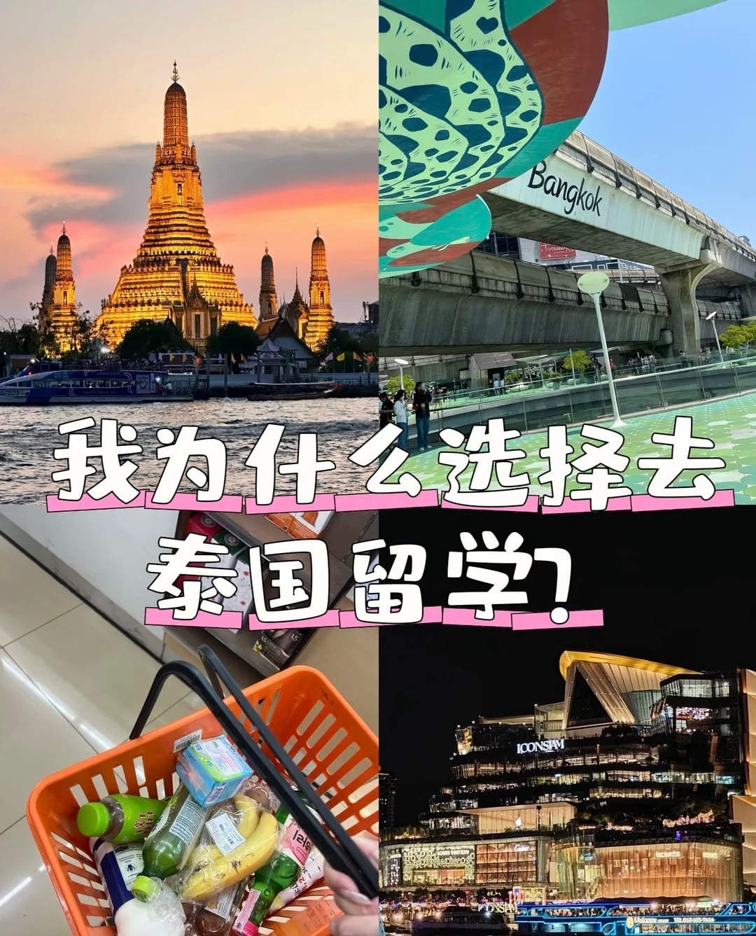 我为什么选择去泰国留学？