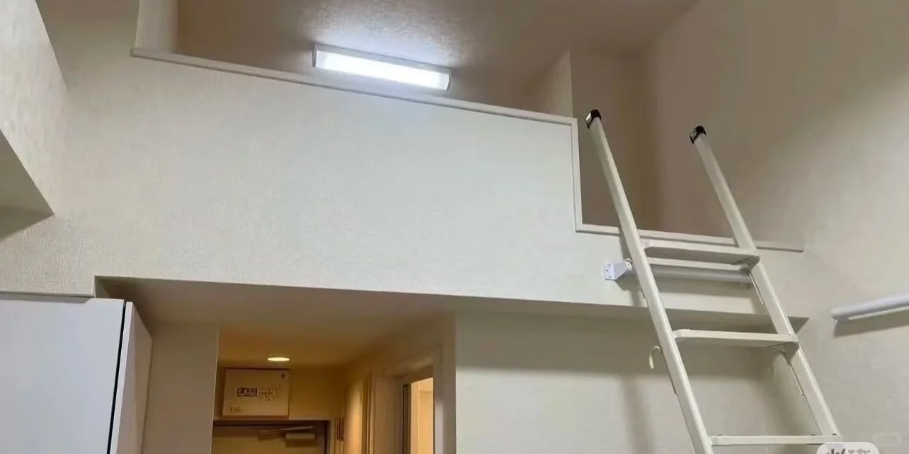 东京留子转租自己的公寓啦