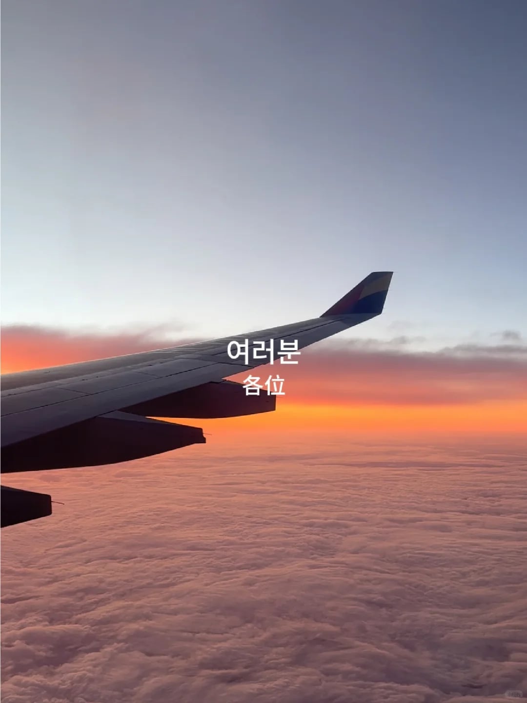 人生建议：所有去韩国旅行的人都用这个bgm!