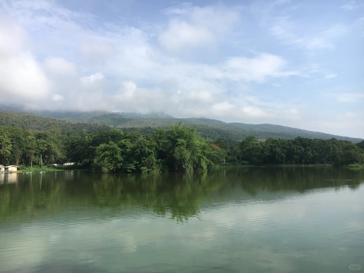 泰北清迈慢游记✨藏在山林古寺里的温柔时光