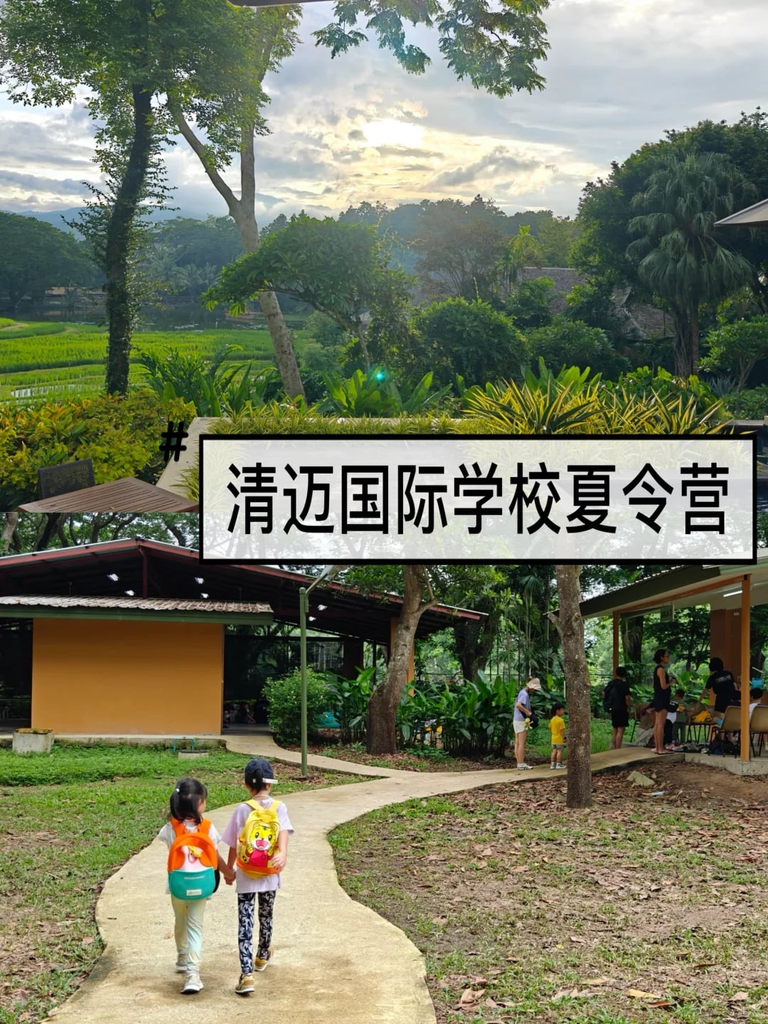自己带娃去清迈夏令营攻略，上完娃还要去😄