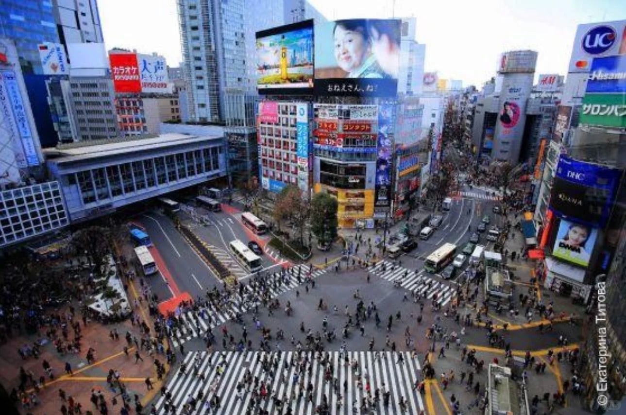 🇯🇵 东京自由行｜把路线、交通和避坑讲