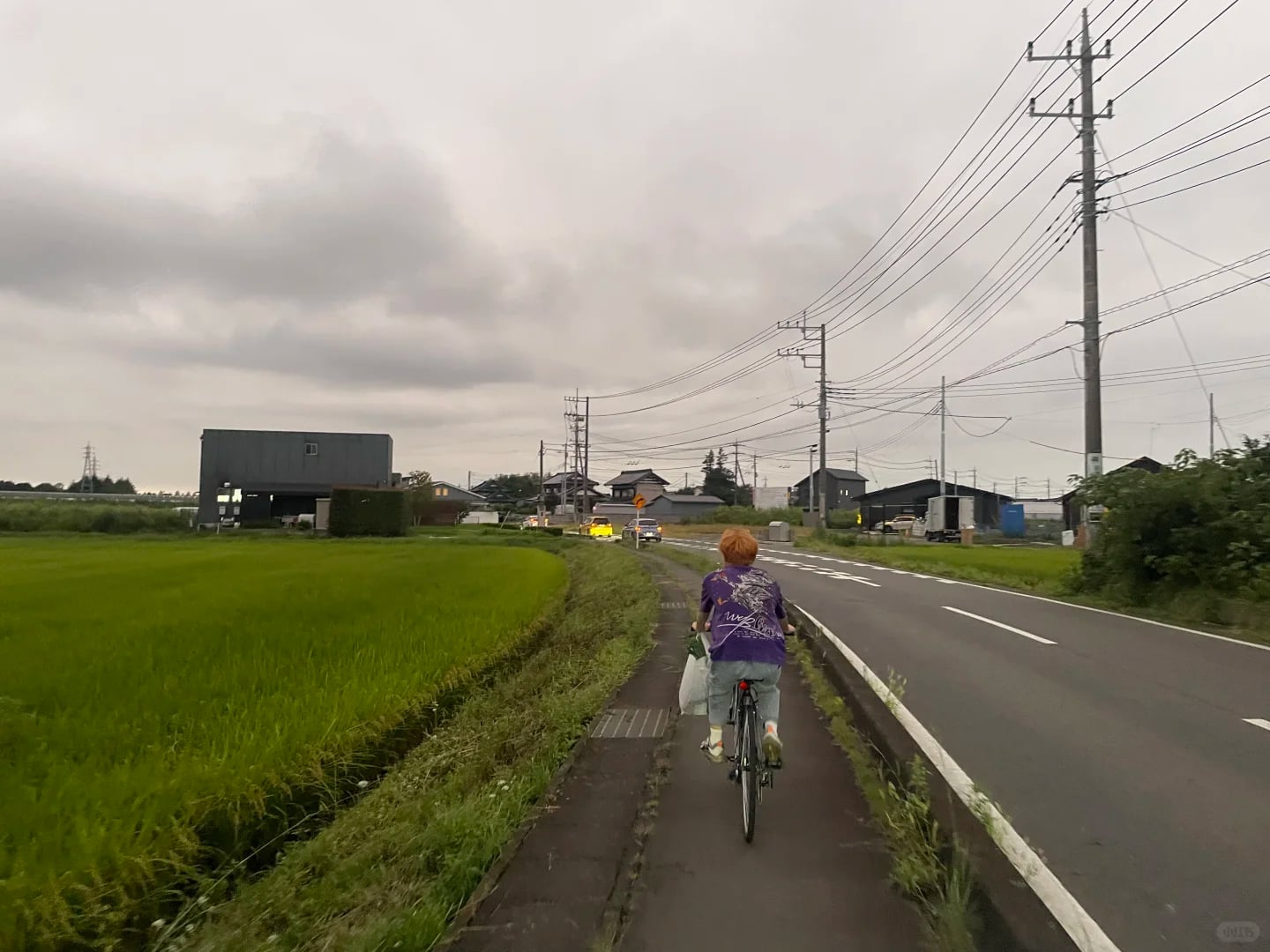 花了一万多，耗时半年来岛国🇯🇵进厂