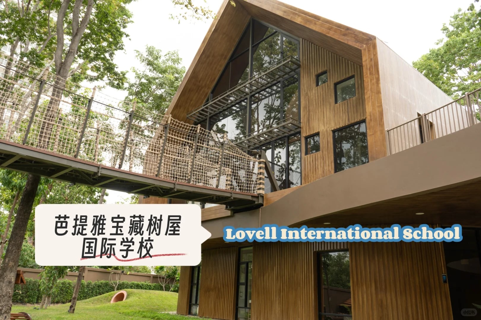 芭提雅神仙国际校！树屋里上学太幸福了🌳