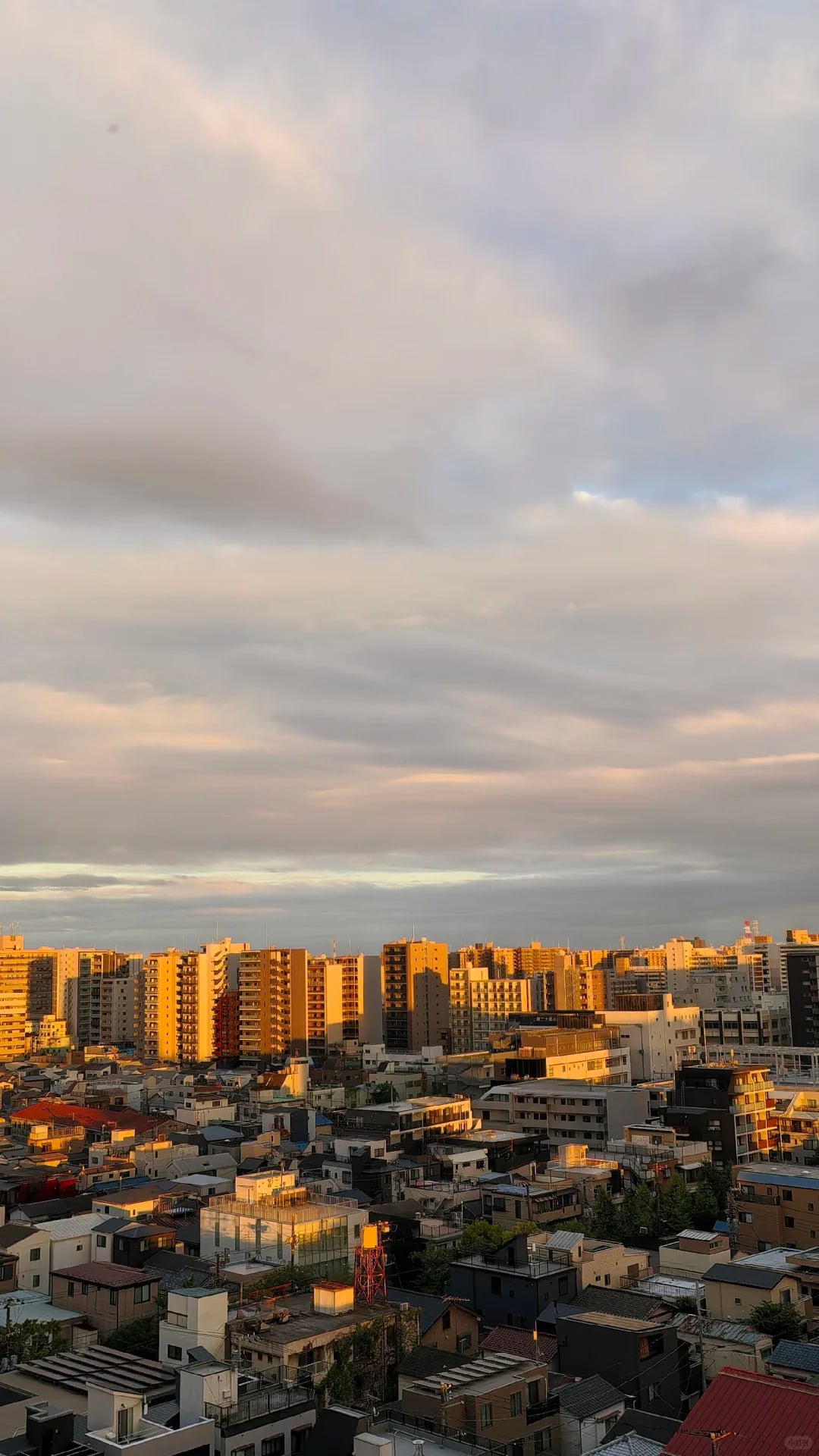 移居日本｜中产返贫第七件套