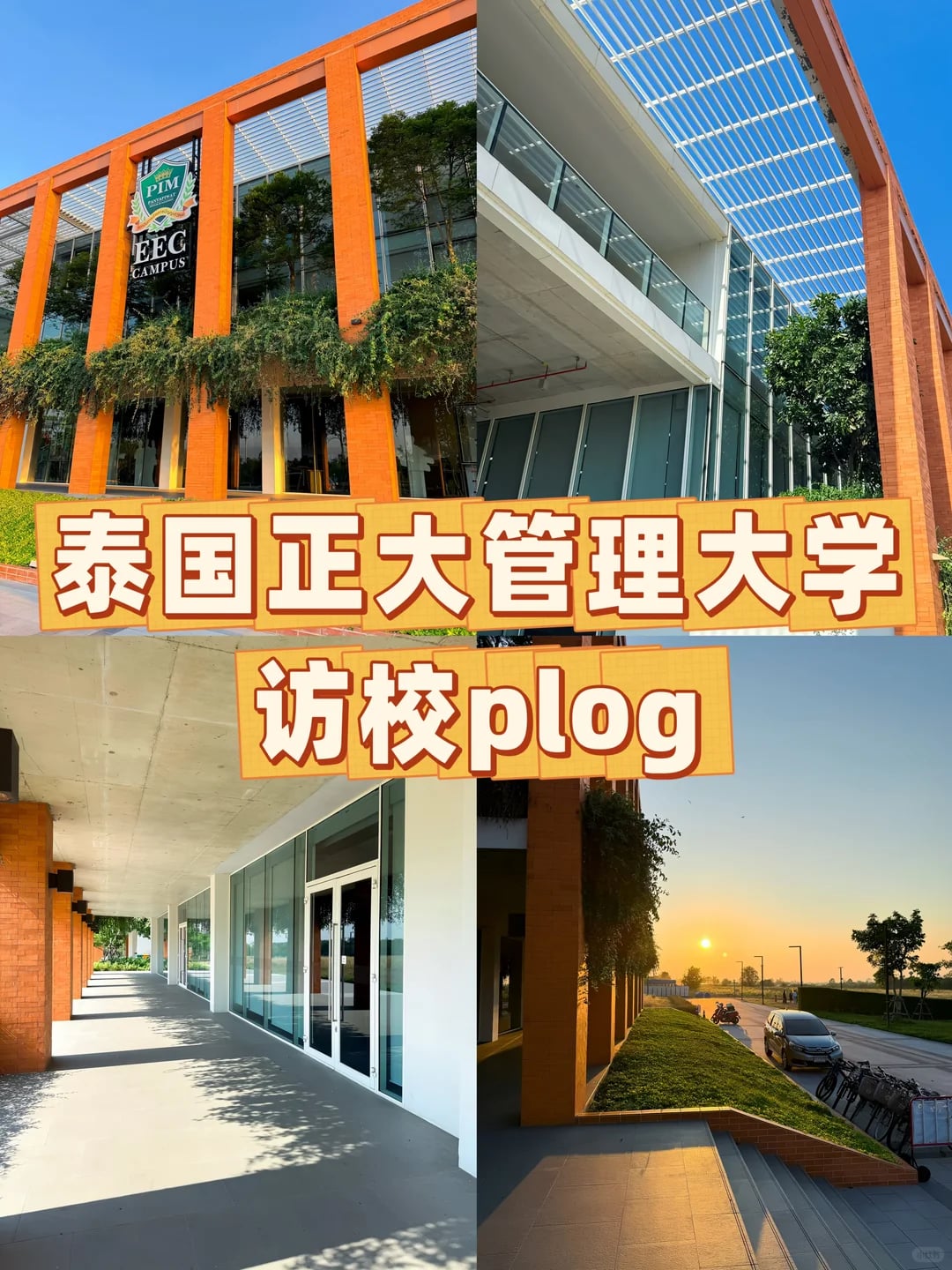 泰国这所大学真的让我羡慕了