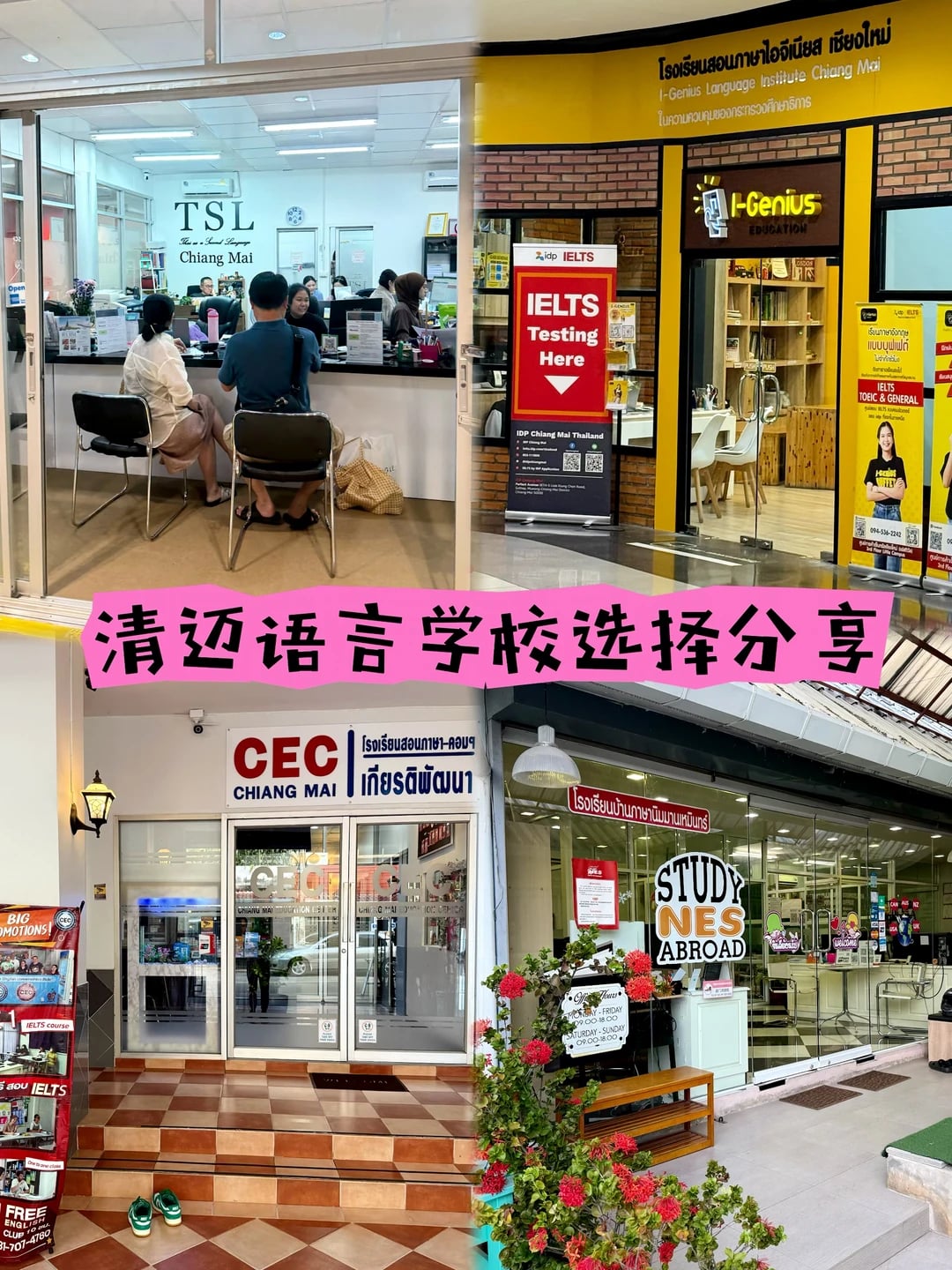🇹🇭 清迈语言学校｜实地探校全记录 附对比