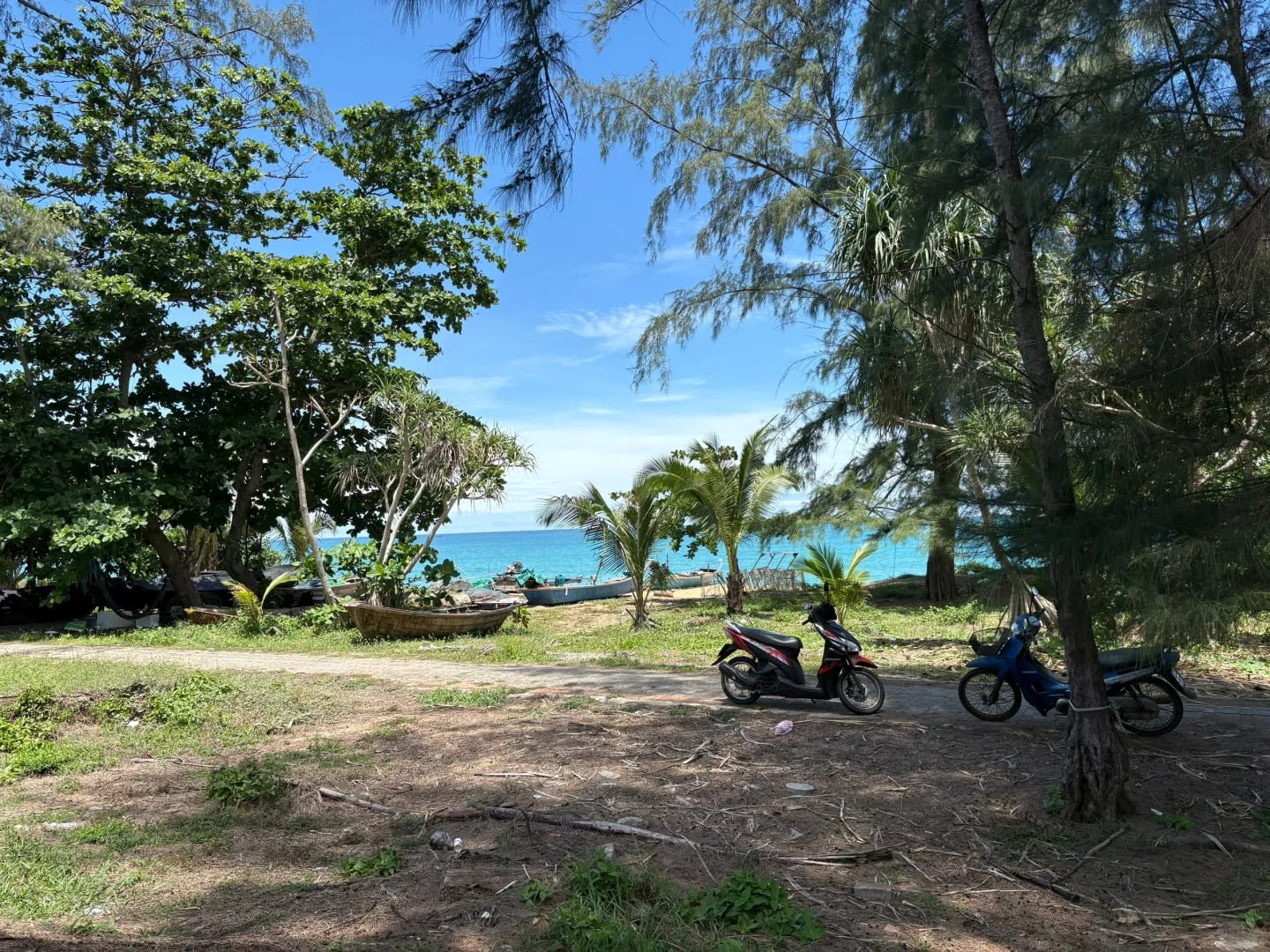 蹲一个普吉岛迈考海滩附近的英语班