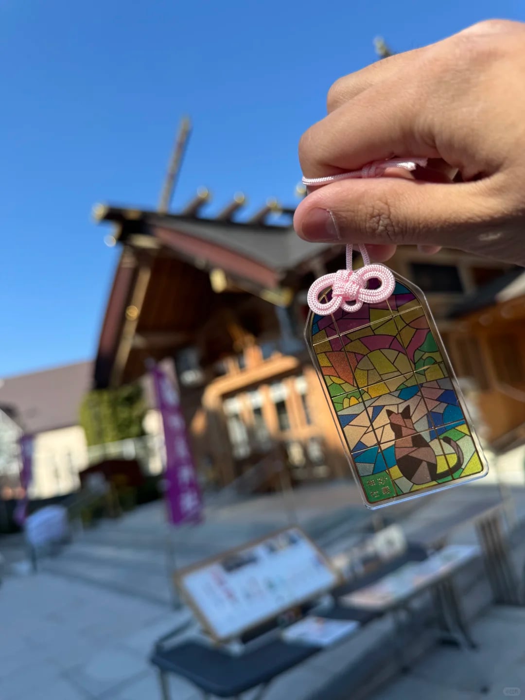 ⛩️ 去了东京猫猫神社 还摸到了猫住持