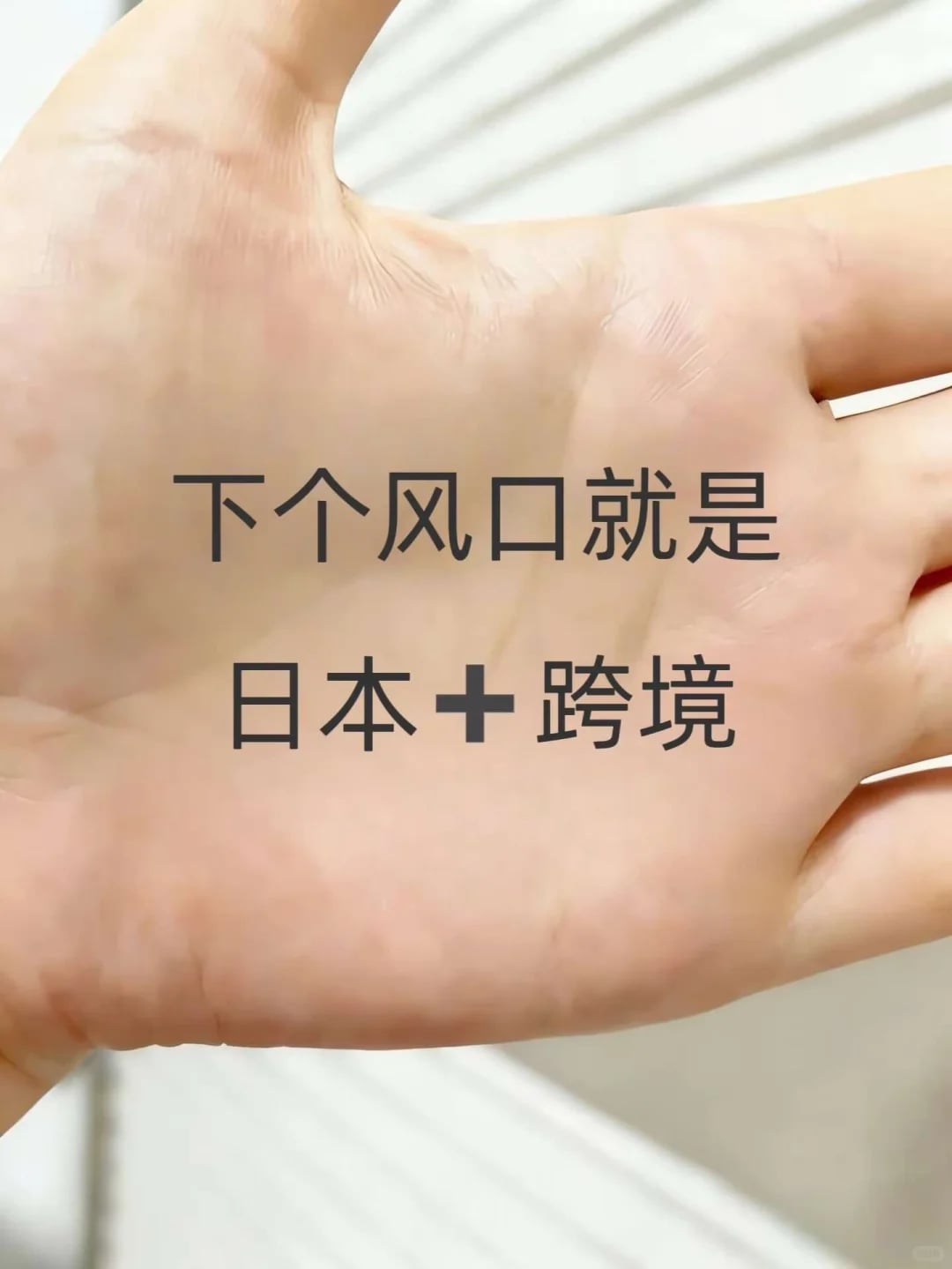 下一个风口就是日本➕跨境