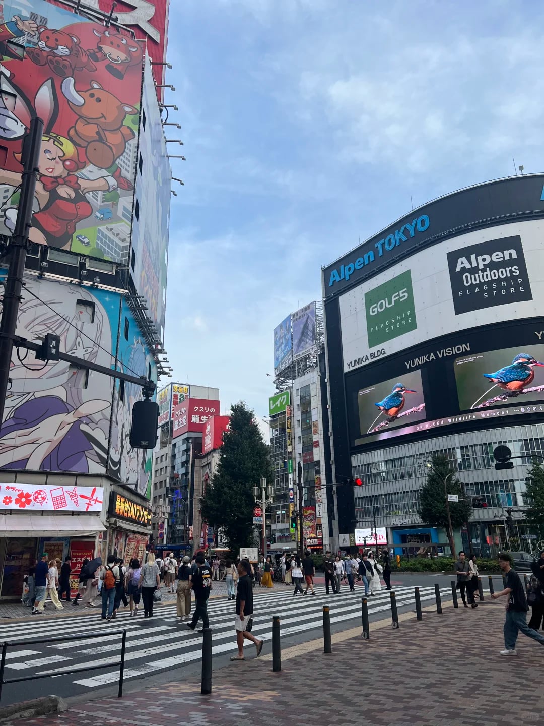 当初为逃离人情世故来日本，结果华人同事…