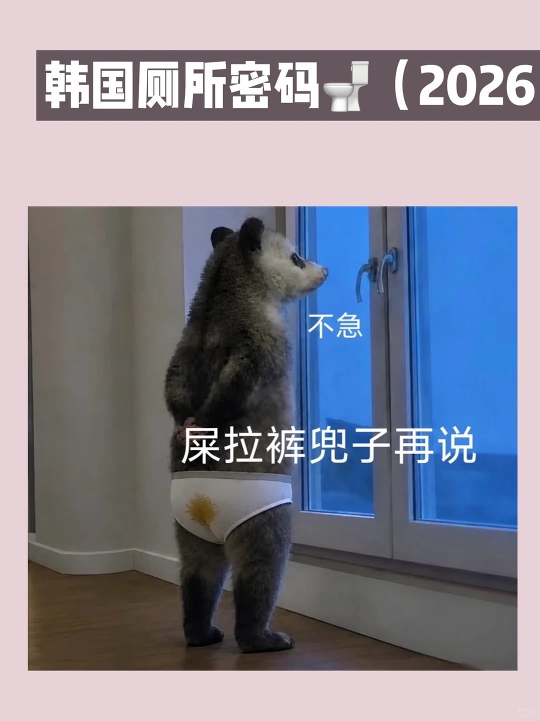 韩国公厕🚽密码（自存
