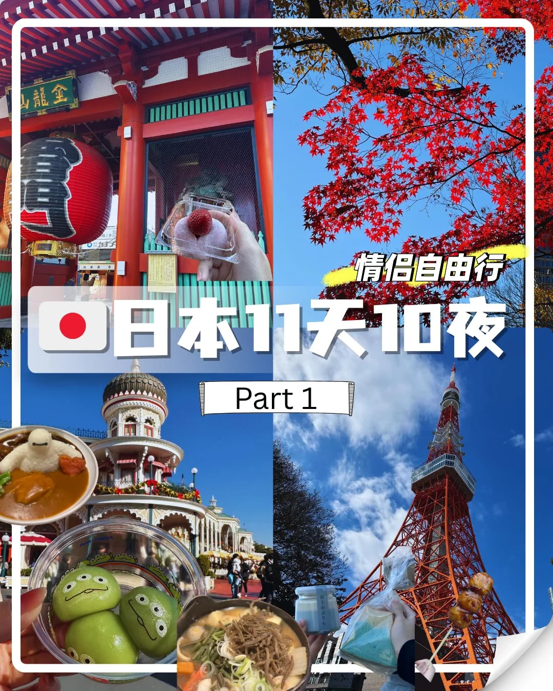 来啦！日本🇯🇵11天10夜｜人均6k🐎