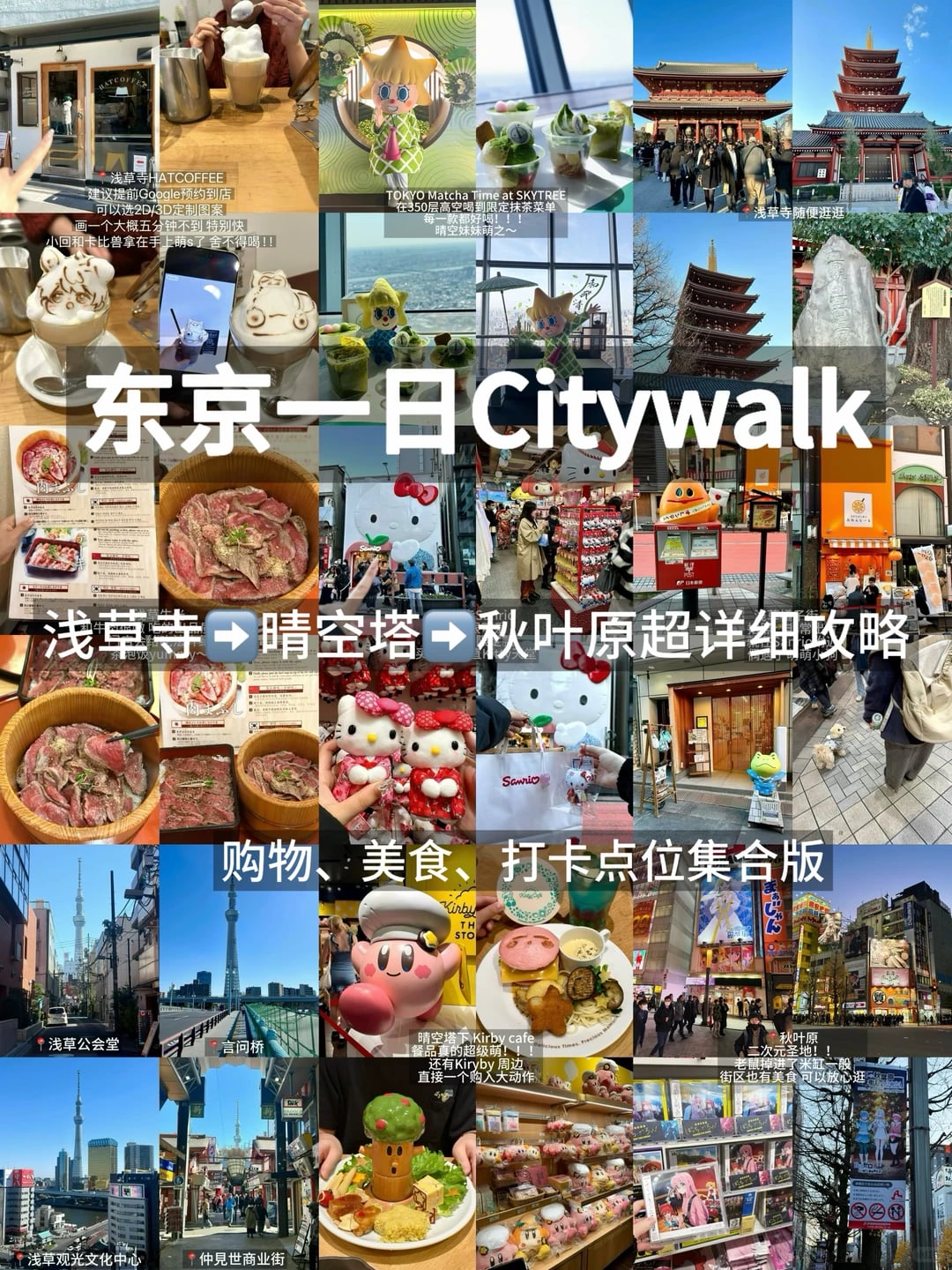 对自己的东京24h攻略满意的睡不着…