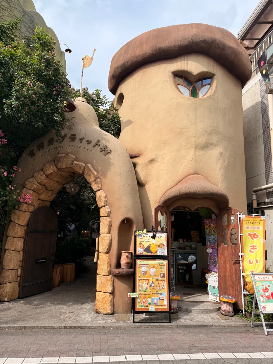 🇯🇵东京吉祥寺｜误闯宫崎骏动漫里的猫咪村