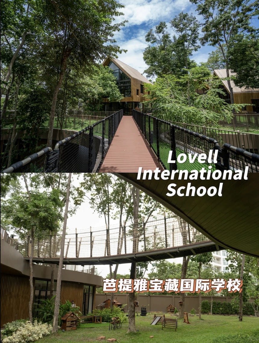 芭提雅Lovell国际学校｜自然里的成长乐园