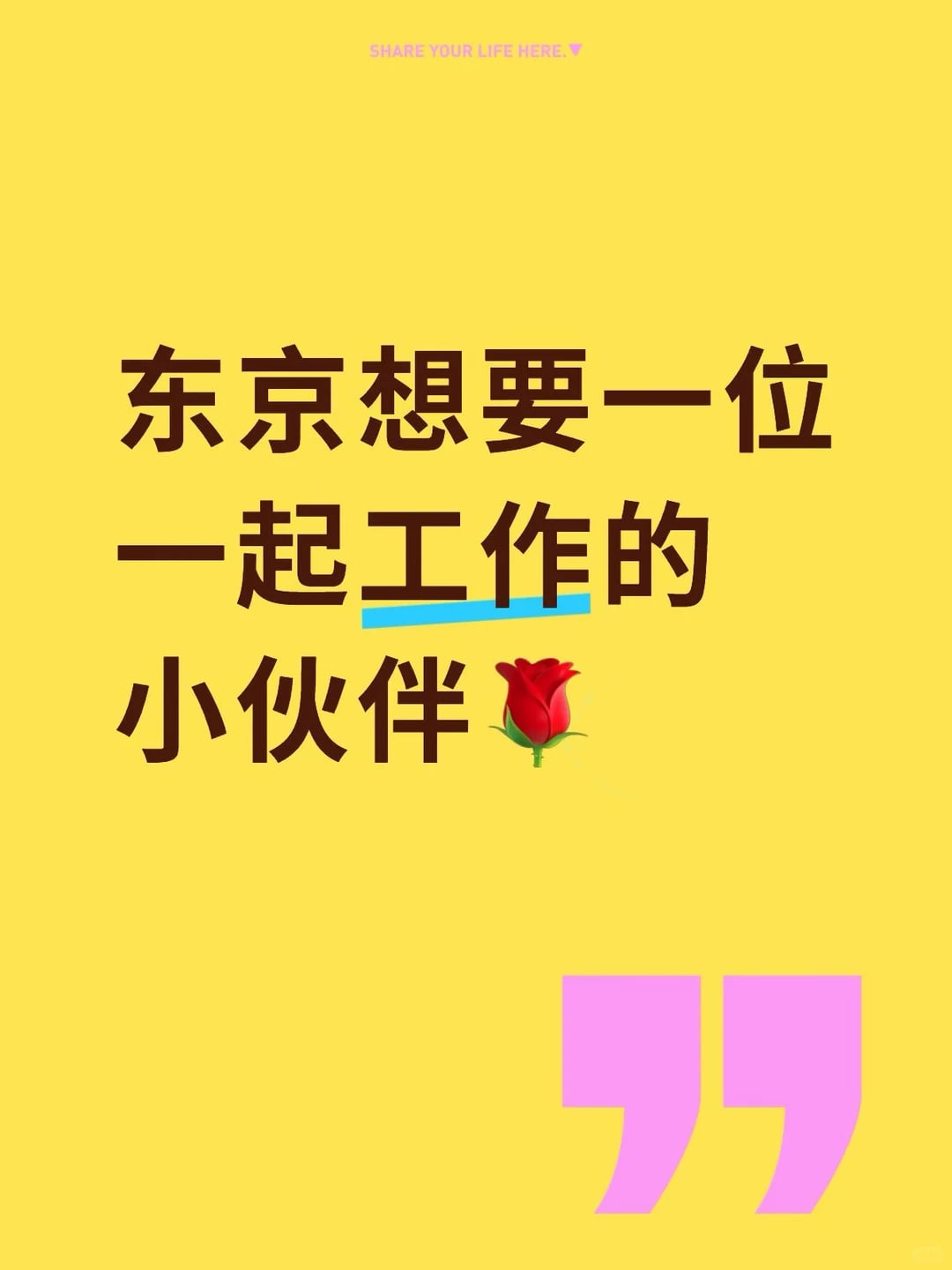 东京想找一位一起工作的伙伴🌷