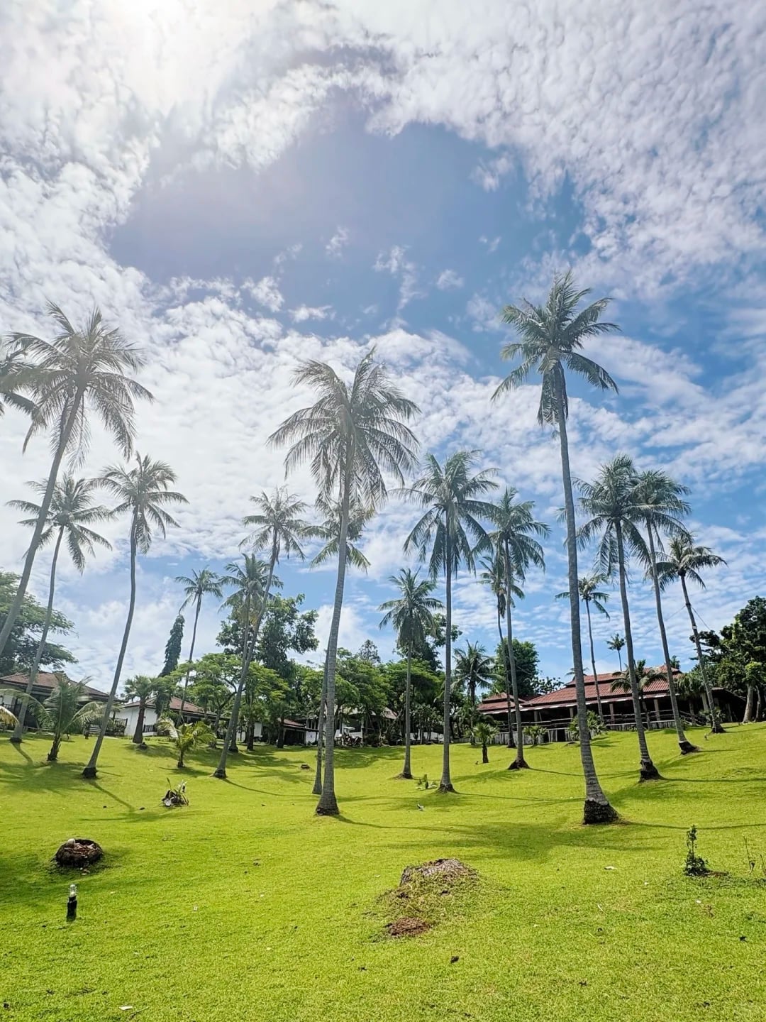 皇帝岛一日游攻略🏝️🫧