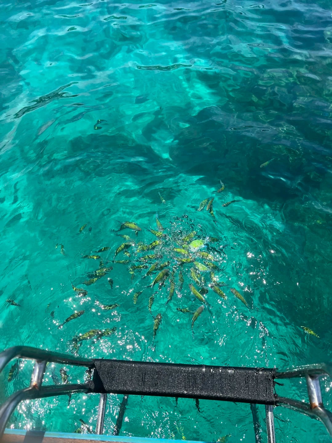 皮皮岛一些杂七杂八的旅游攻略分享