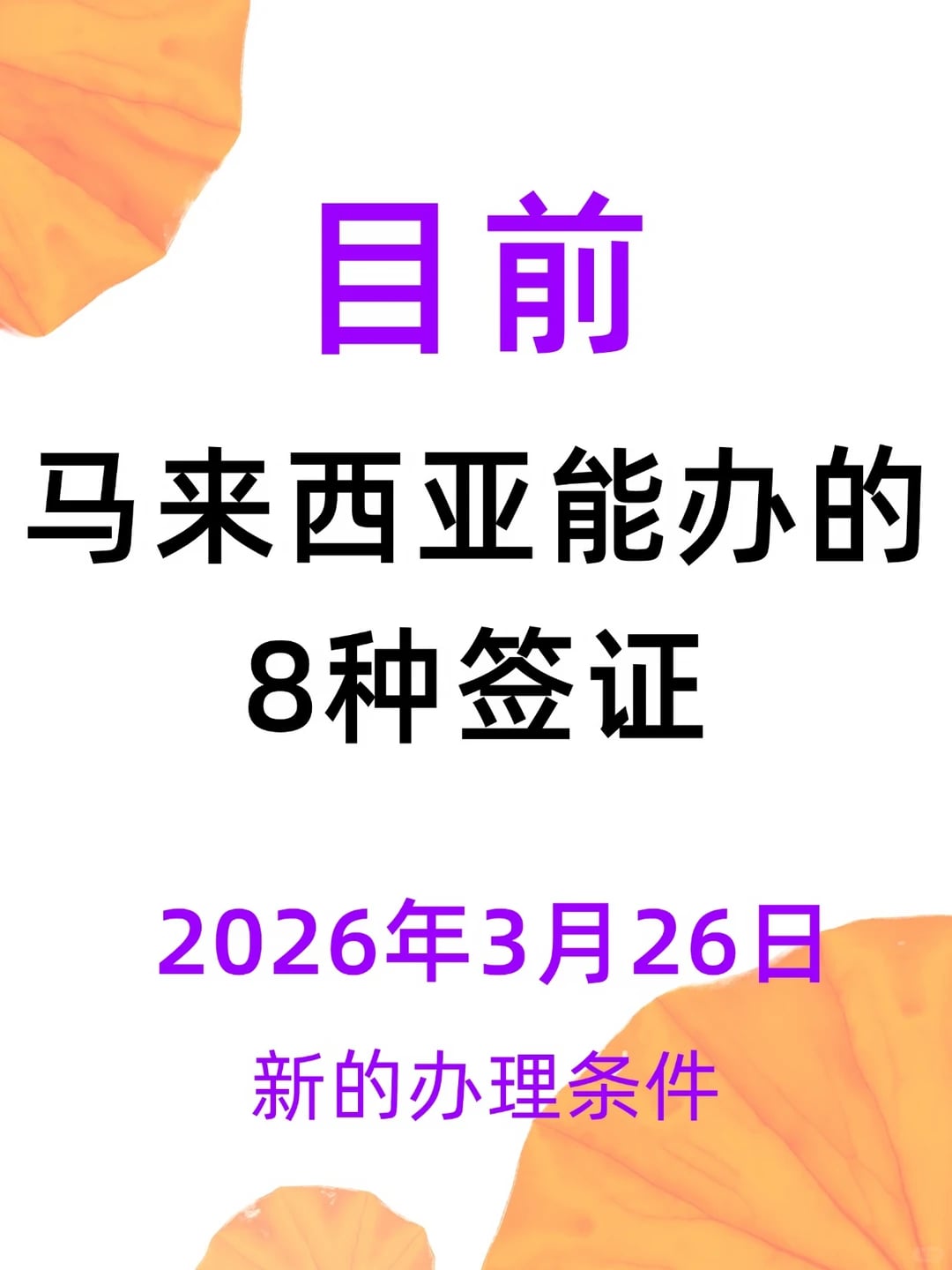 目前大马能办的签证（2026.3月版）