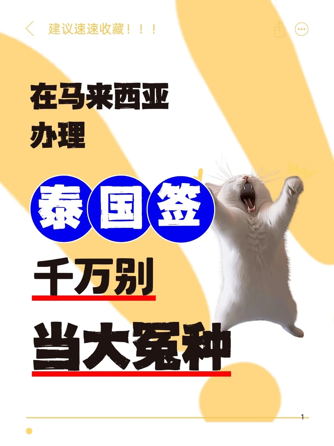 台签注意这些避坑点