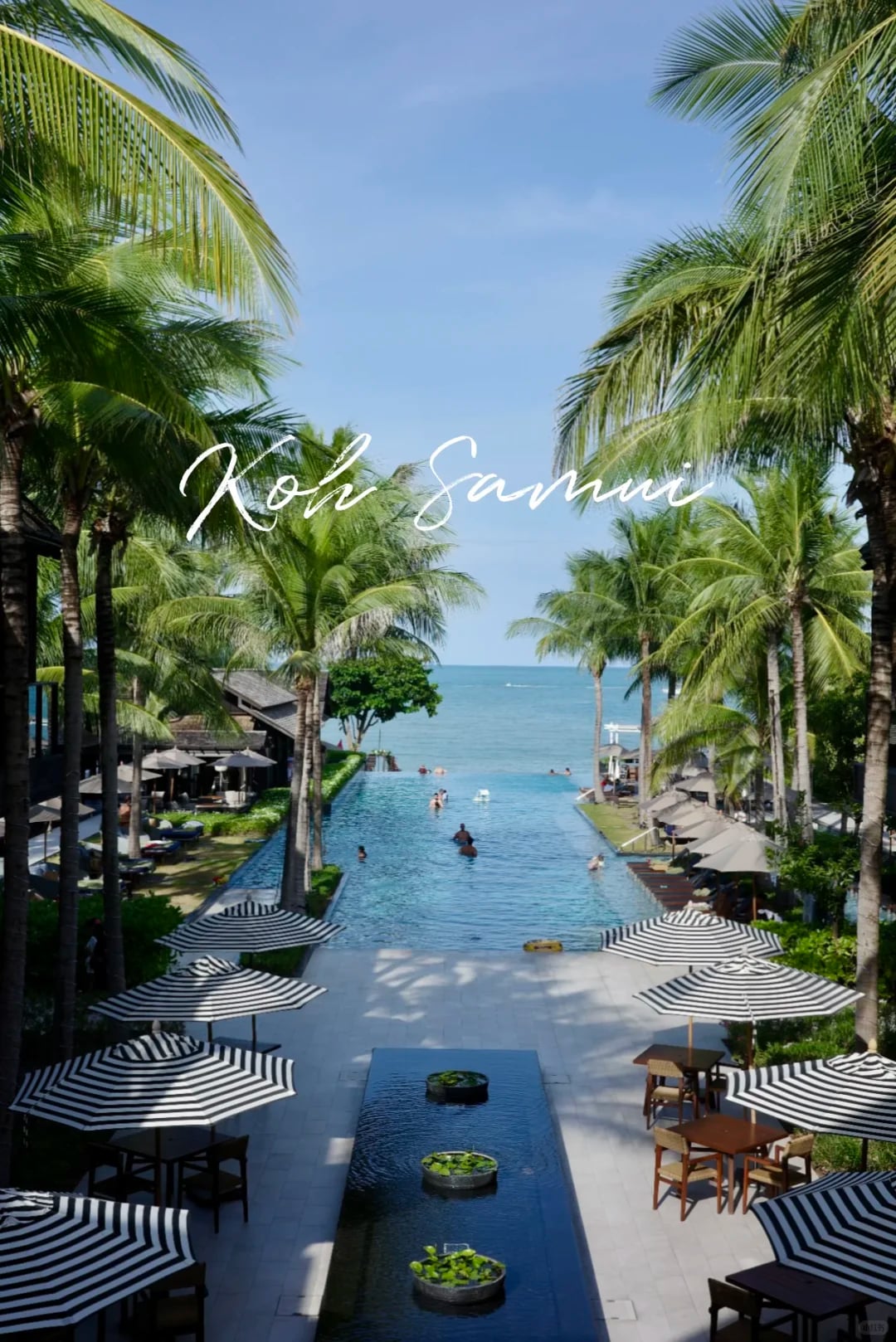 🇹🇭苏梅岛｜躺酒店才是正经事，2家实测