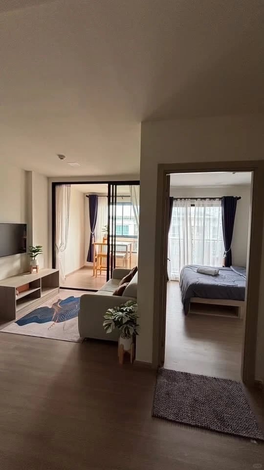 🏡 普吉岛 D Condo Reef｜1+1房
