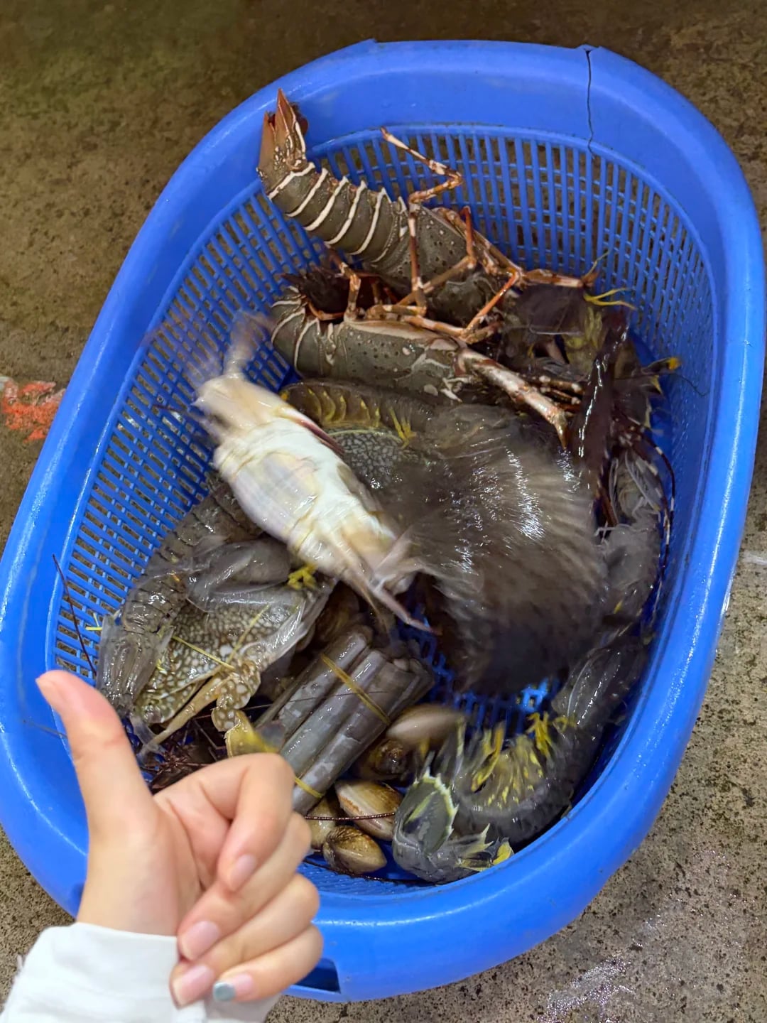 普吉岛班赞海鲜市场海鲜，1700🐷