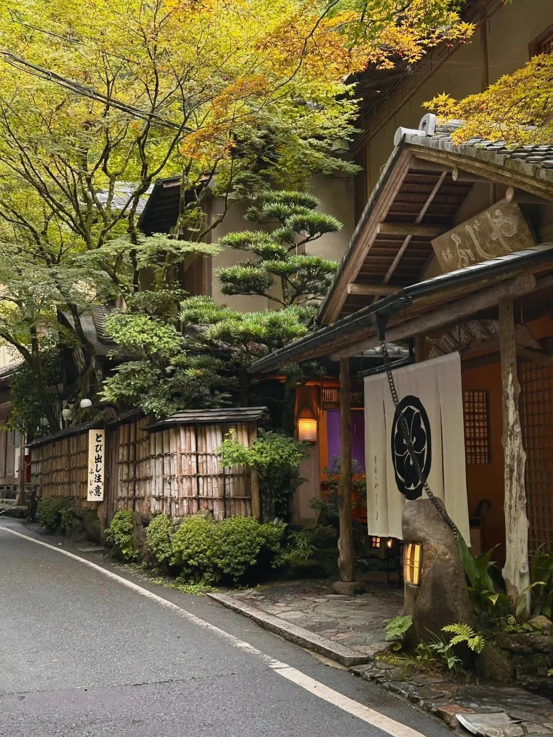 日本最适合旅居一个月的城市——京都