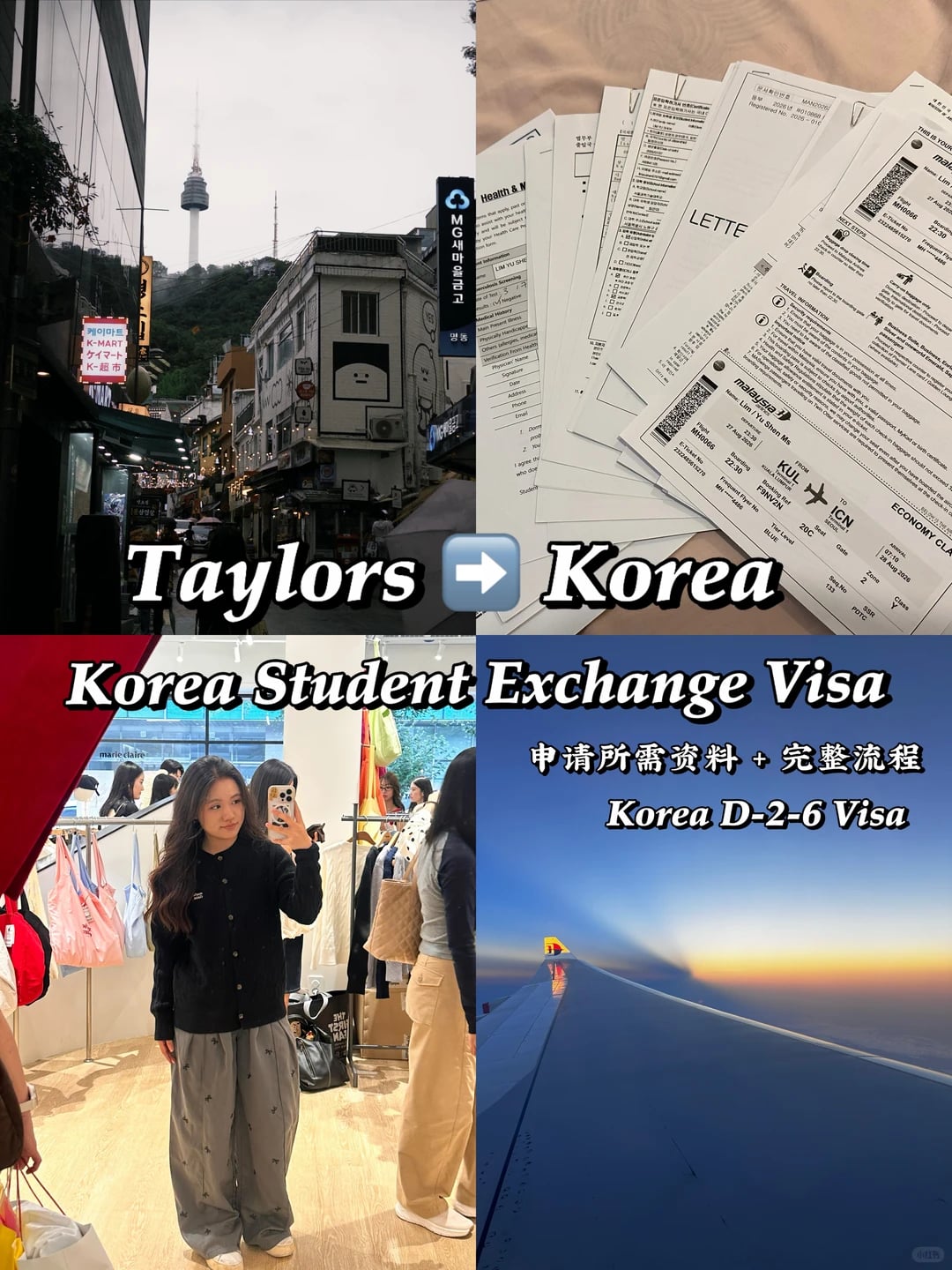 🇲🇾申请韩国学生签证🇰🇷｜Visa Checklist