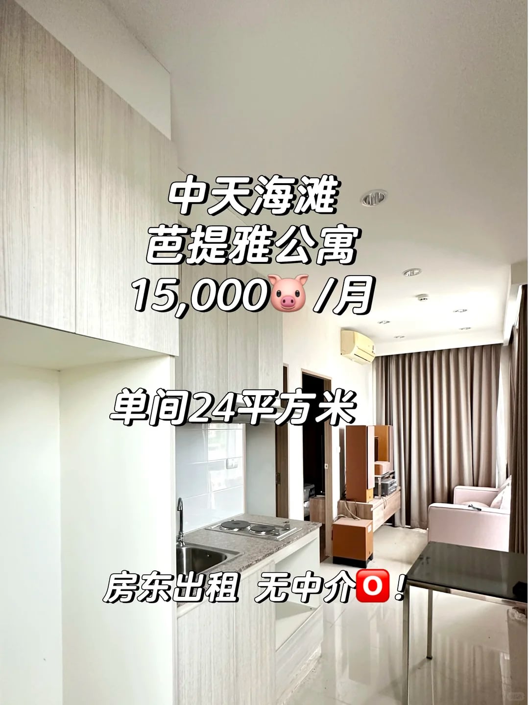 中天海滩公寓出售/出租