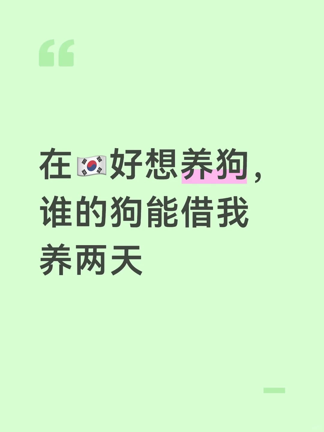 谁能在🇰🇷借我养两天狗