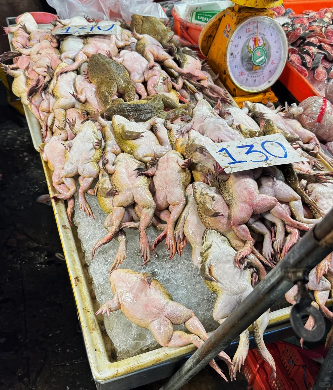曼谷24小时不停歇的菜市场