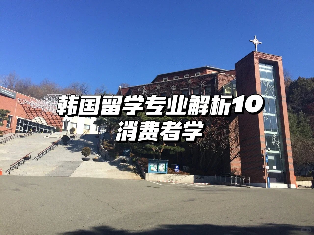 韩国🇰🇷留学 |专业解析10-消费者学