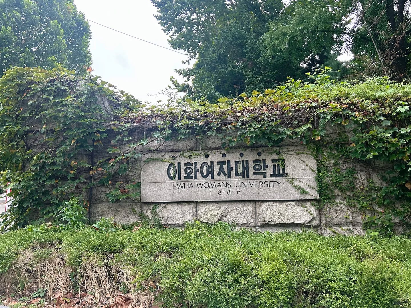 求助伟大的小红书 求多推!