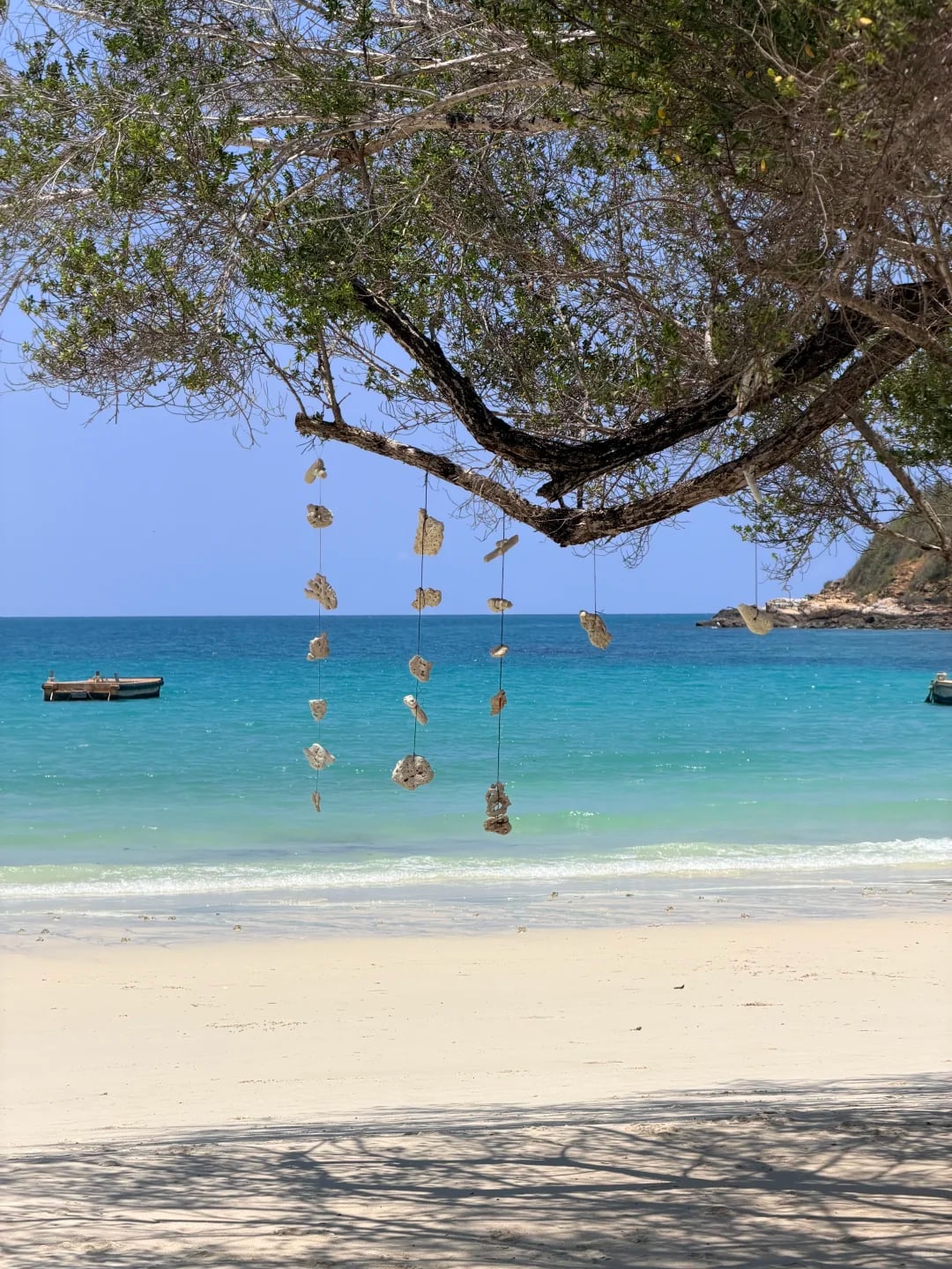 离曼谷最近的玻璃海🏝️沙美岛太适合躺平了