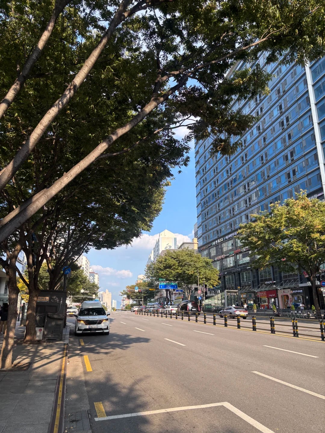 就有时候真的很羡慕刚来韩国留学生活的人