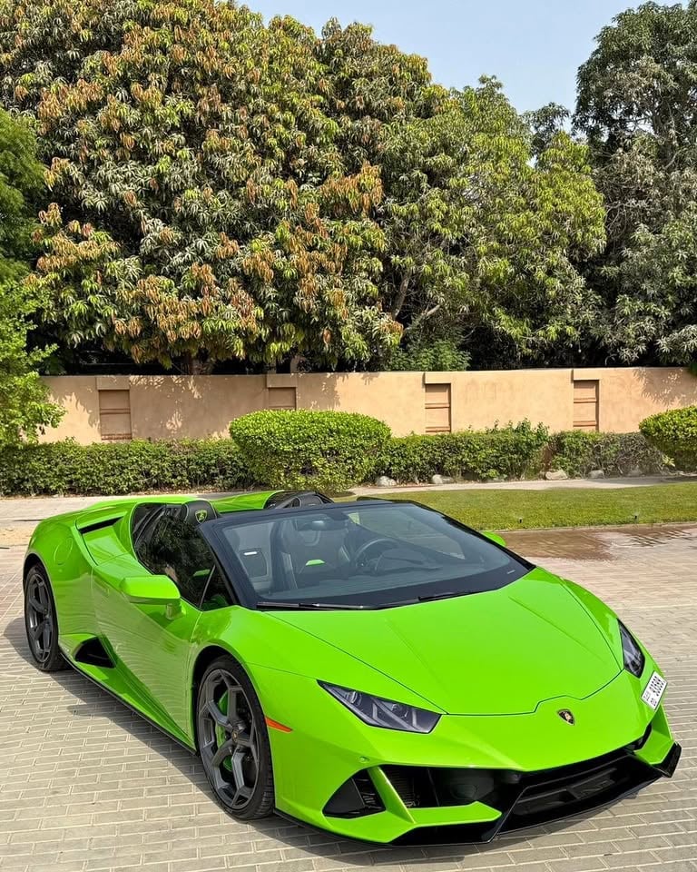 2025 兰博基尼 Evo Spyder 2024