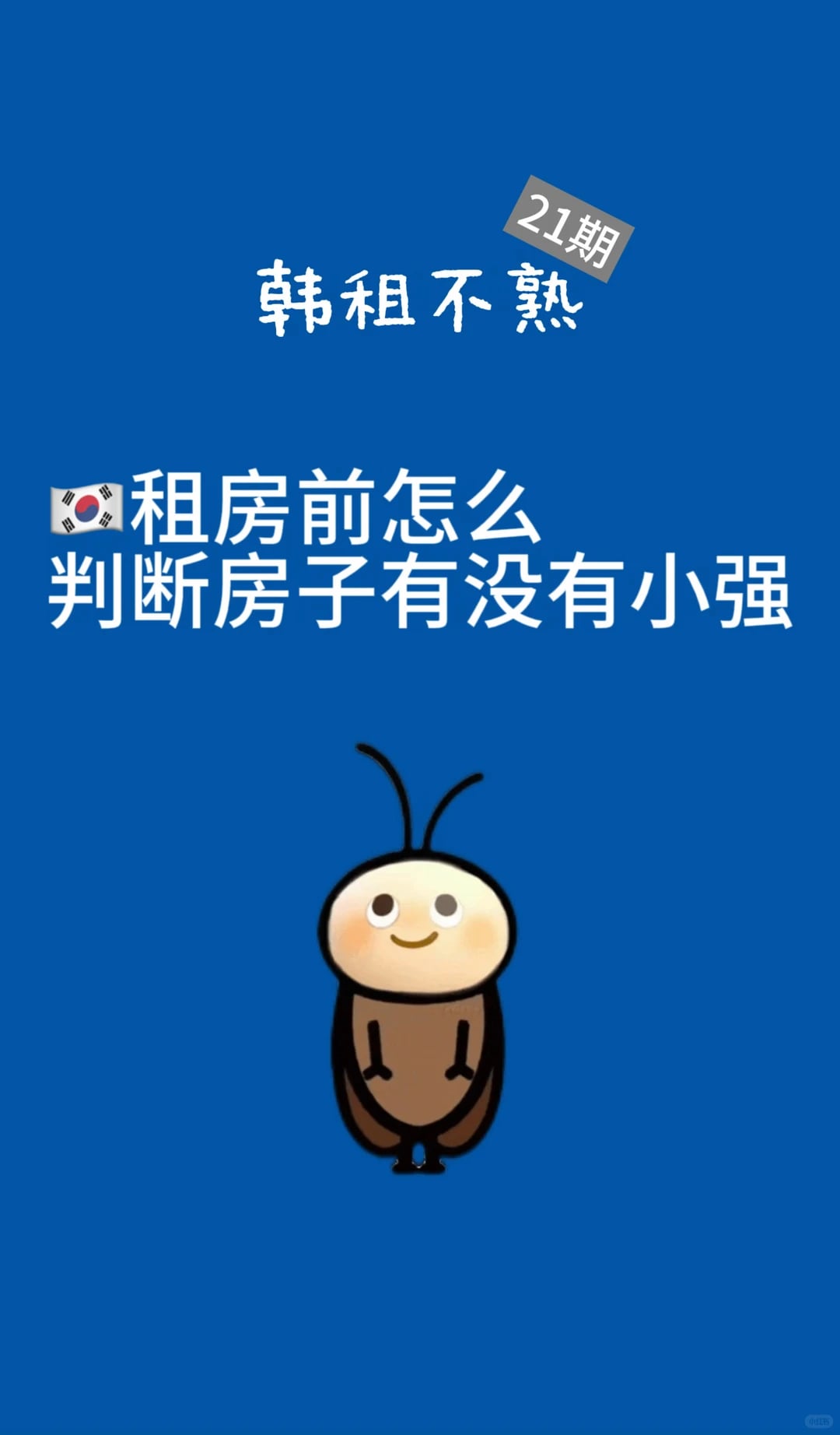 韩国租房前怎么检查会不会有蟑螂