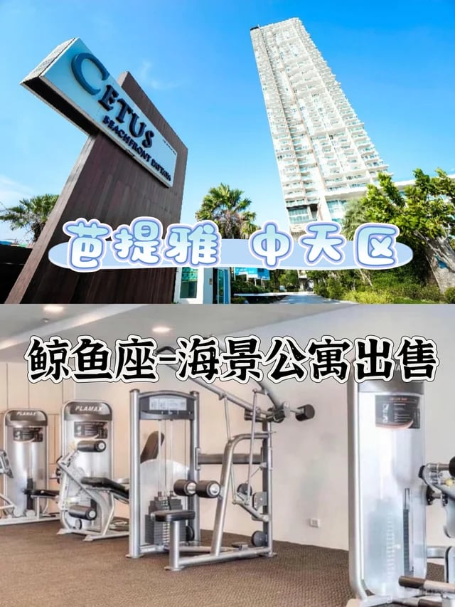 🏖️490万铢！中天鲸鱼座公寓一线海景出售