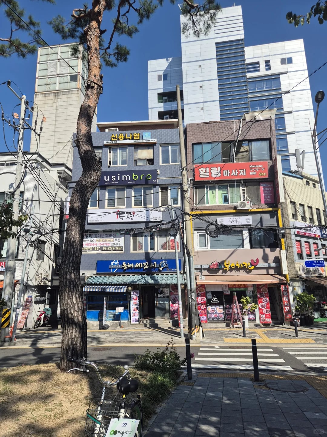 首尔东大门DDP●4层高建筑 53亿